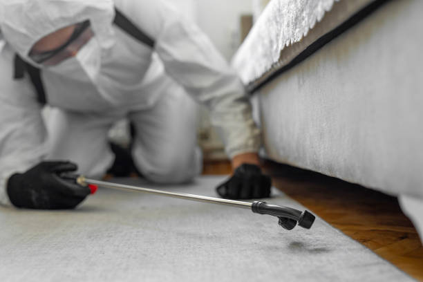 Professional Cockroach Control technician working in Noroton, CT