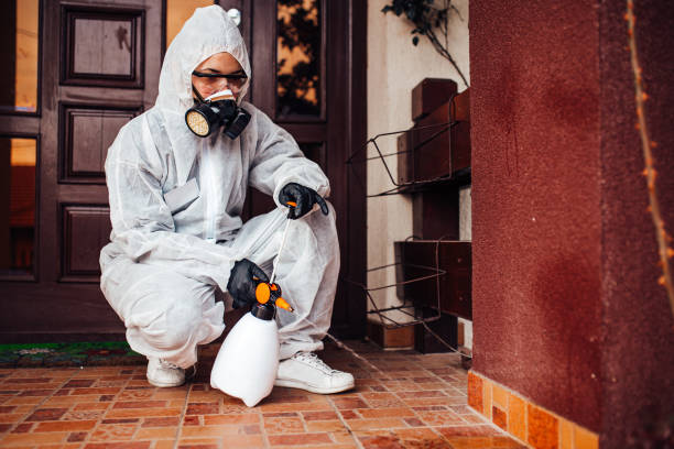 Reliable Cockroach Control contractor in Noroton, CT by Nex Pest Control